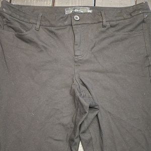 Torrid Studio Ankle Pant